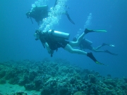 PICT0024