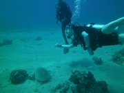 PICT0031