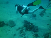 PICT0032