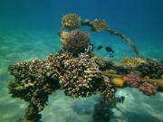 PICT0050