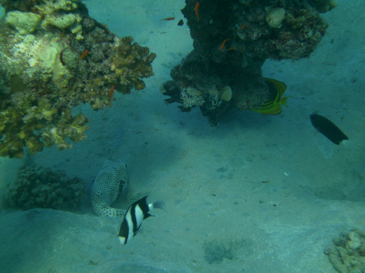 PICT0072.JPG