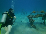 PICT0061