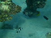 PICT0072