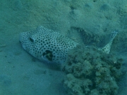PICT0074