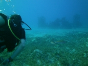 PICT0078