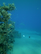 PICT0095