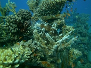 PICT0096