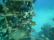 PICT0109