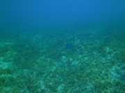 PICT0110
