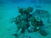 PICT0117
