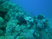PICT0124