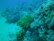 PICT0126