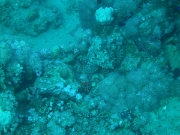 PICT0128