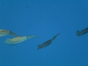PICT0155