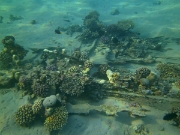 PICT0161
