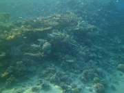 PICT0162