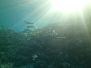 PICT0189