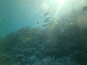 PICT0190