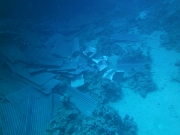 PICT0223