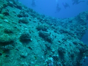 PICT0244