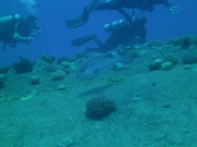 PICT0255