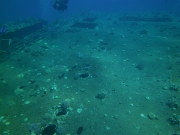 PICT0262