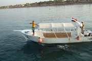 DSCF9832