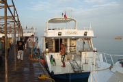 DSCF9841