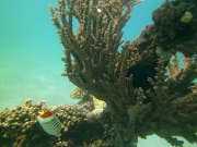 PICT0370