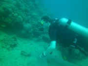 PICT0402