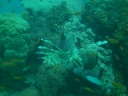 PICT0412