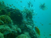 PICT0417