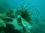 PICT0423