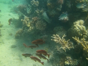 PICT0440