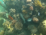 PICT0441