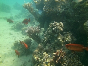 PICT0442