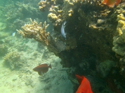 PICT0444