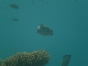 PICT0451