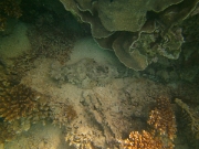 PICT0460