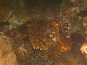 PICT0470