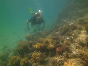 PICT0475