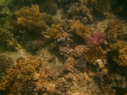PICT0476