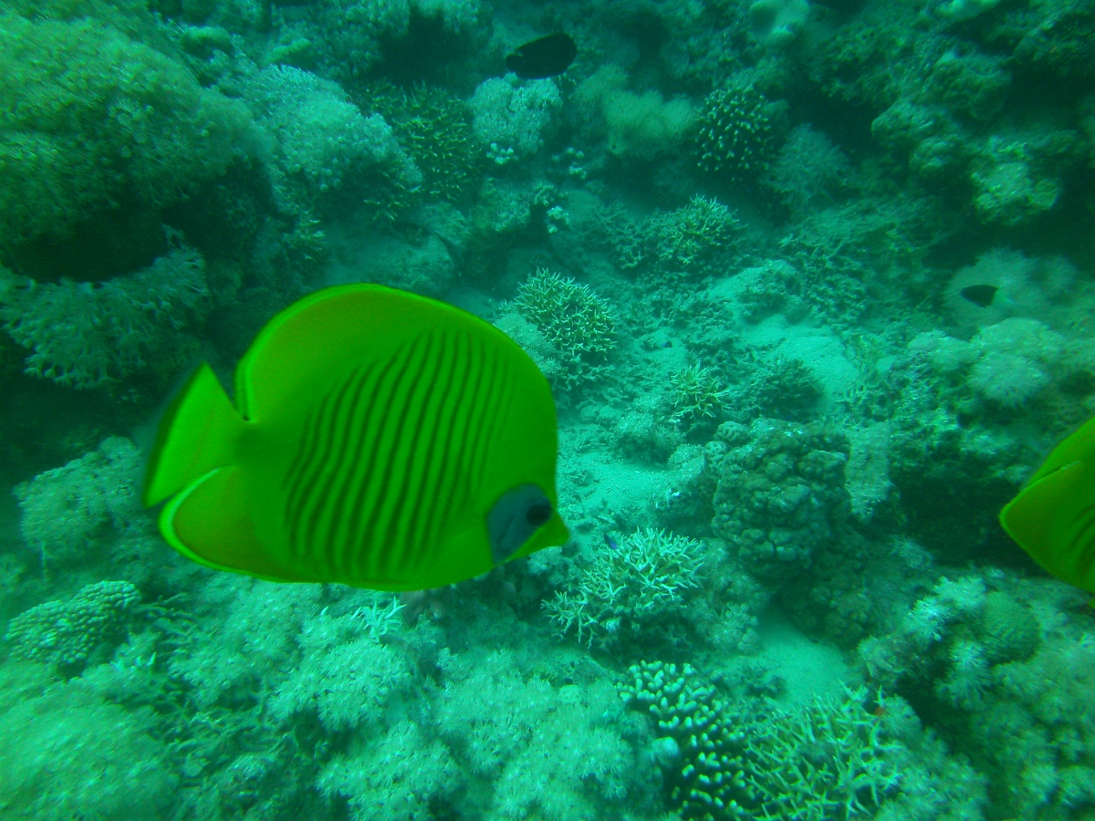PICT0524.JPG