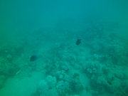 PICT0514