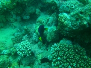 PICT0519