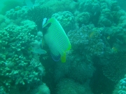 PICT0530
