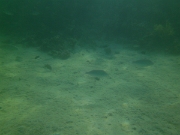 PICT0568