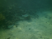 PICT0570
