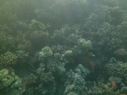 PICT0571