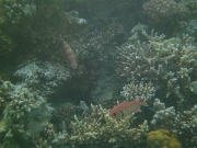 PICT0572
